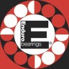 Enduro Bearings