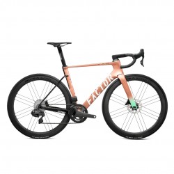FACTOR OSTRO VAM DAVID MILLAR - CAMPAGNOLO SUPER RECORD