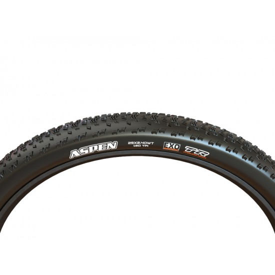 MAXXIS - Väliskumm Aspen 29 x 2,25 DualCompound TR EXO