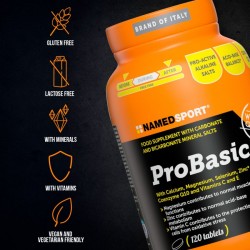 NAMEDSPORT - PROBASIC - 120 TABLETS