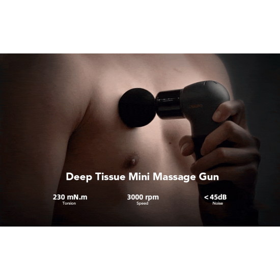NAIPO - Deep Tissue Massager