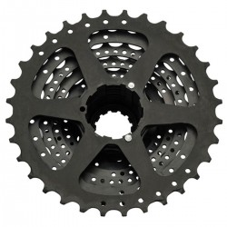 SHIMANO - Cassette CS-HG31-8 8-speed